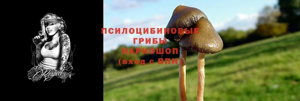 гидропоника Армянск