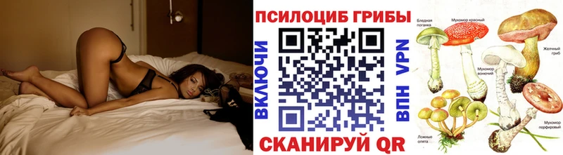 Псилоцибиновые грибы Psilocybe  mega ССЫЛКА  Барыш 
